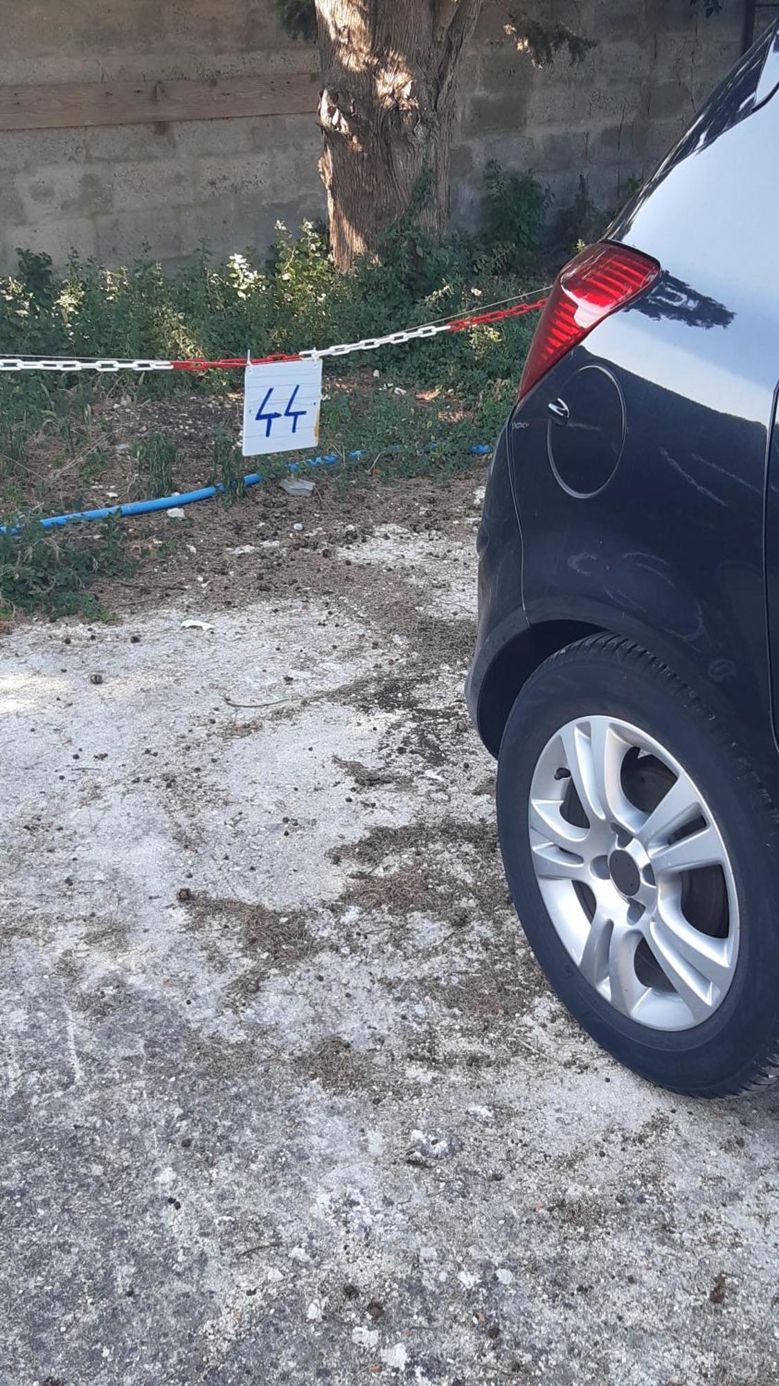 Apartman Zdenac *